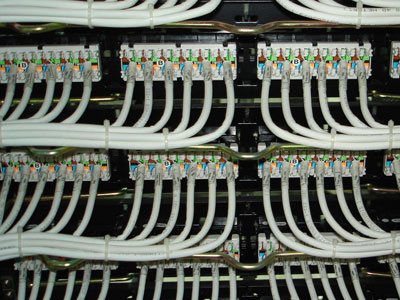 W(wng)j(lu)(xin)ڼͥxúmľW(wng)(xin)